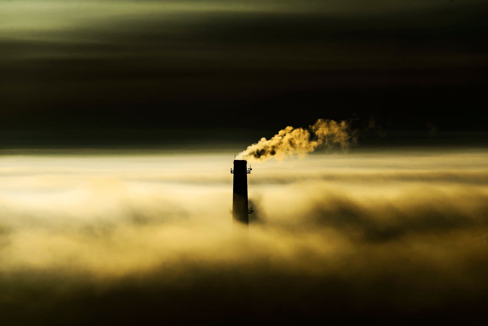 If Amazon doesn’t know how to eliminate carbon emissions, then who does?