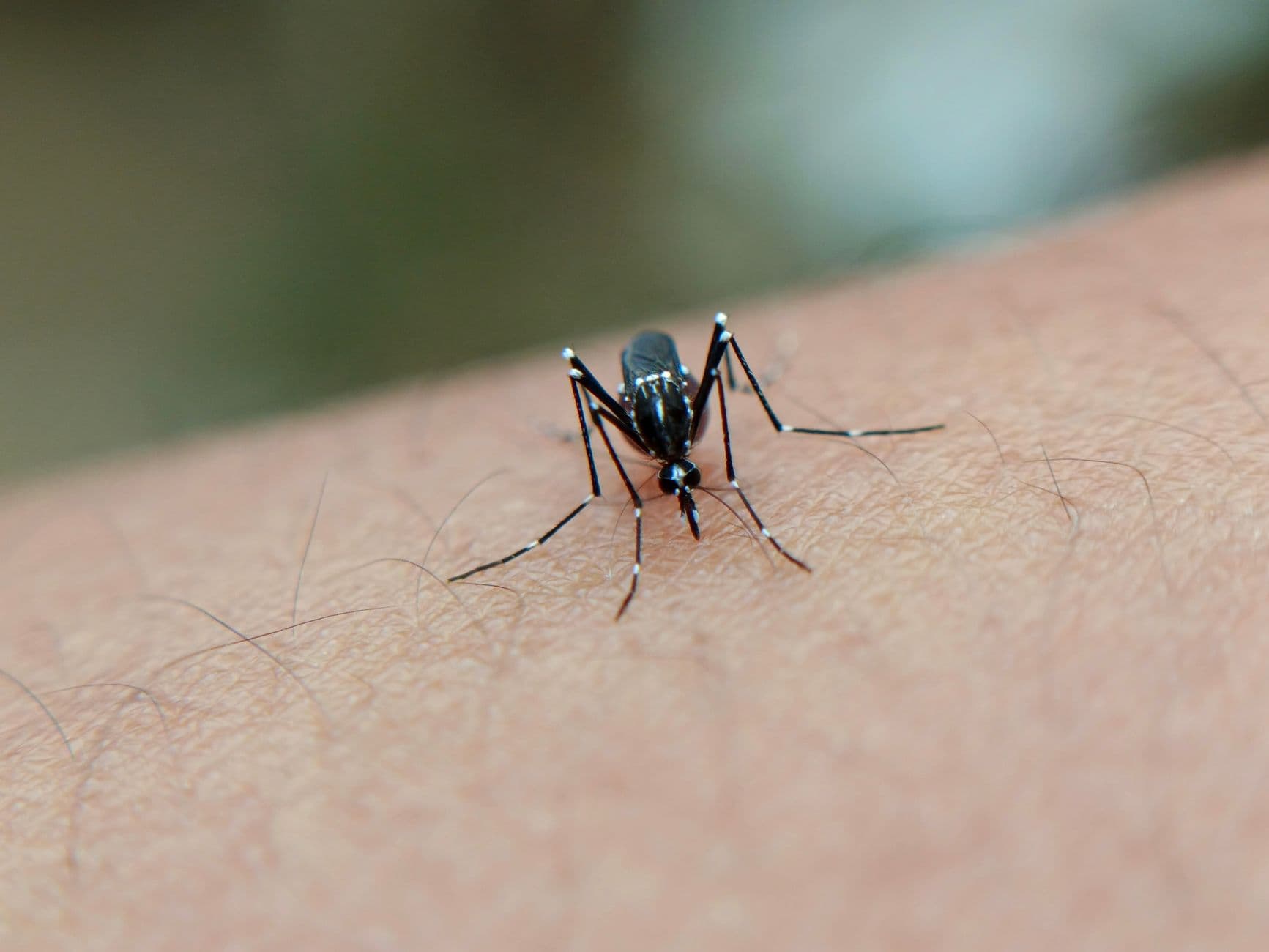 Video: Bangladesh Dengue deaths surpass 233 in deadly outbreak