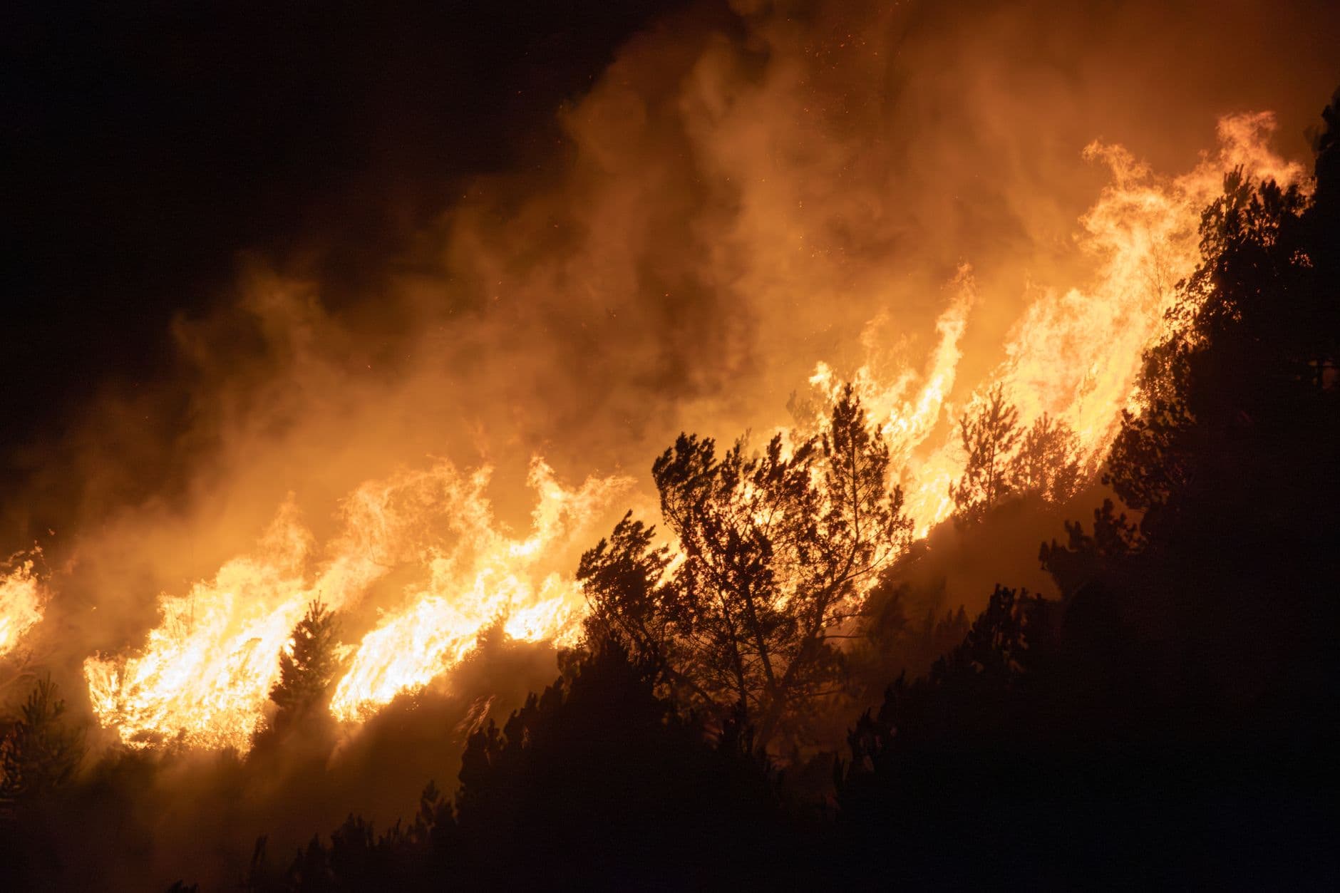 Death Toll From Europe’s Extreme Summer Heat Estimated At More Than 50,000