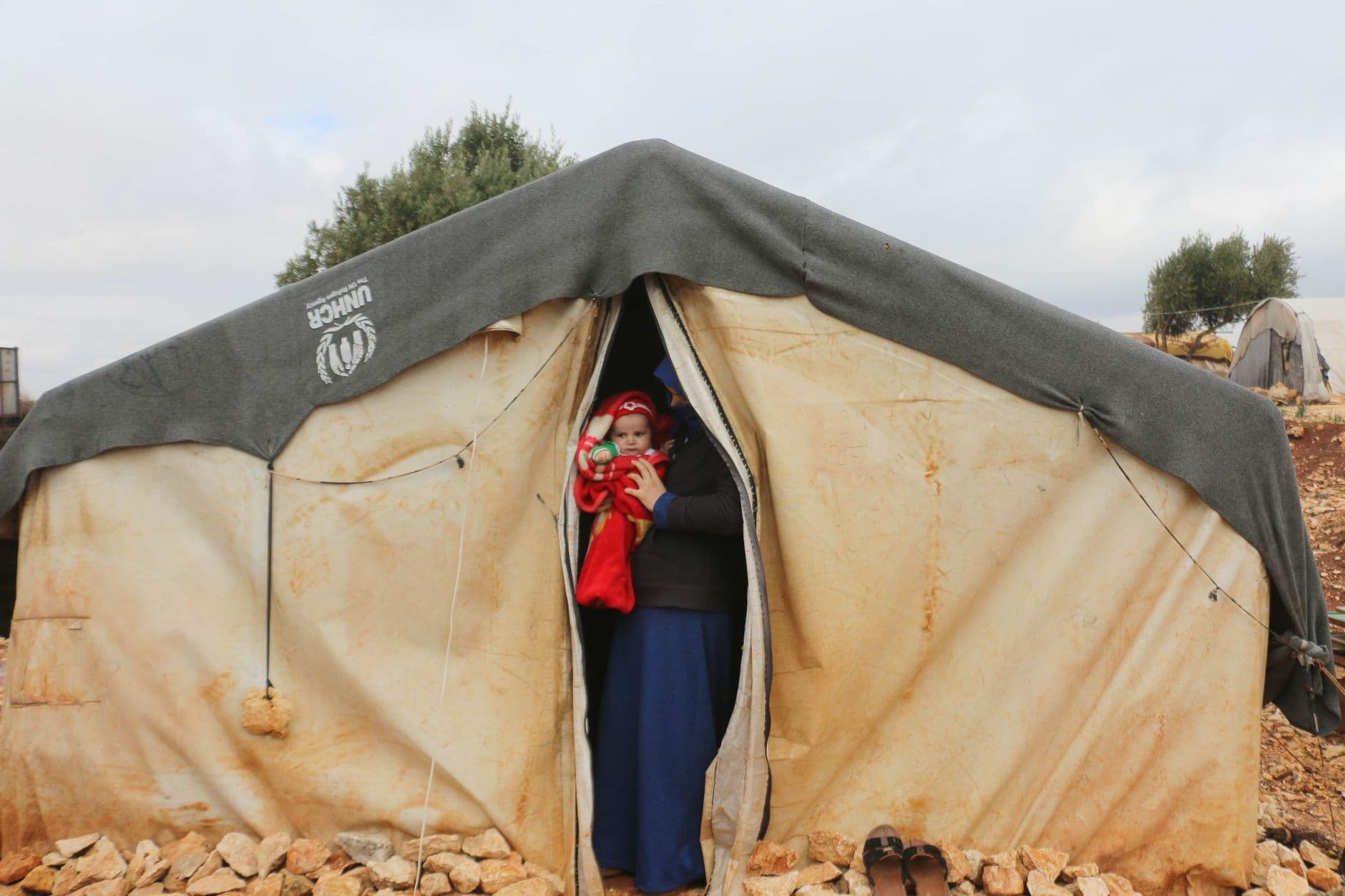 Displaced West Bank Palestinians face growing hunger after UN cuts food aid