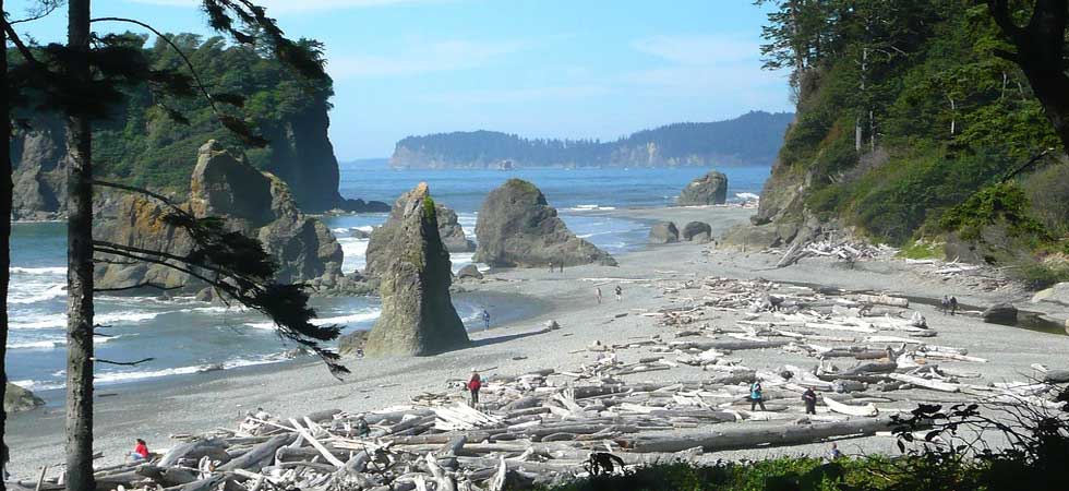 Olympic National Park - 10 Best Cheap Vacation Locations in the U.S. 2022 - 2023