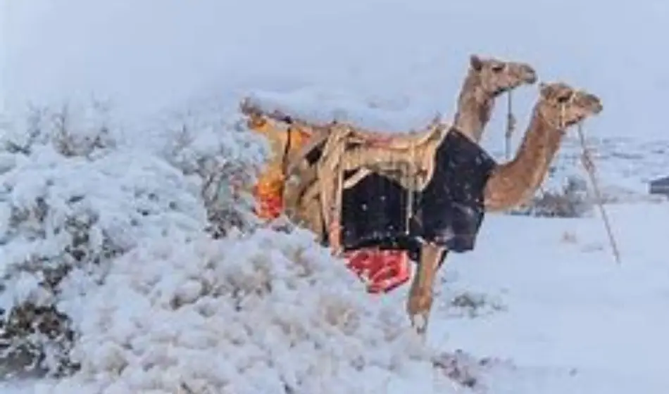 Snowfall in Saudi Arabia's Desert