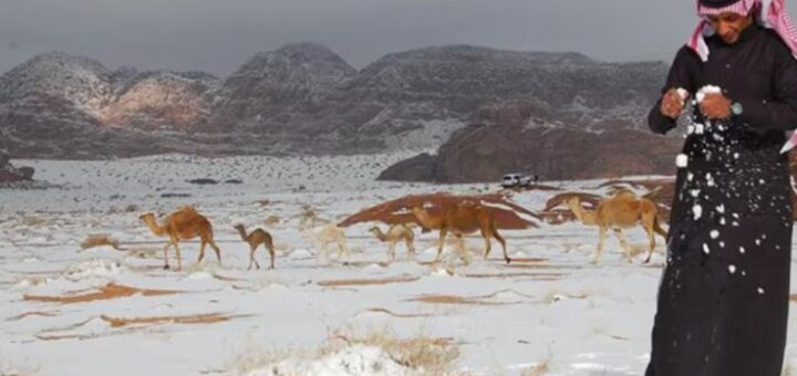 Snowfall in Saudi Arabia's Desert