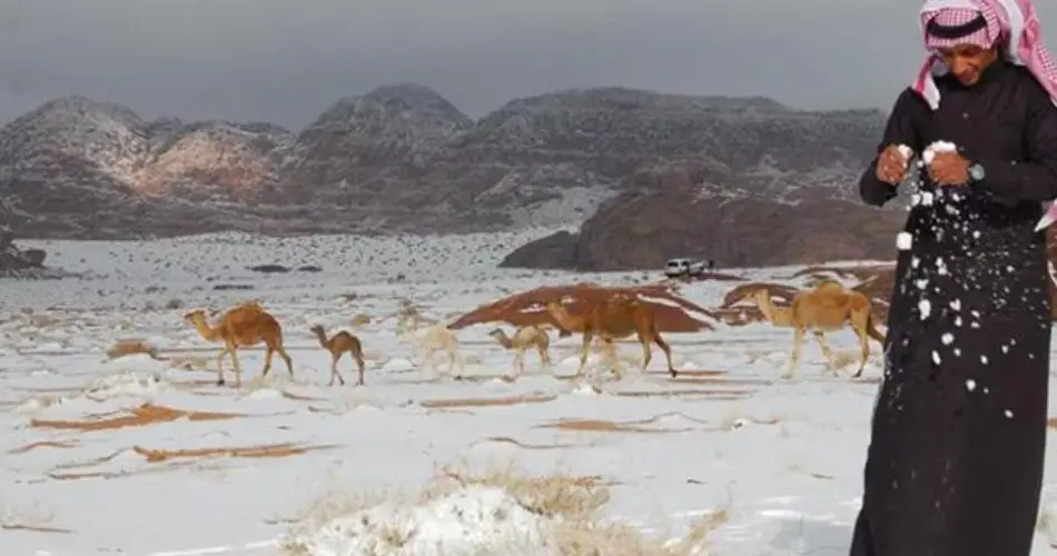 Snowfall in Saudi Arabia's Desert